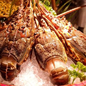 Equatorial - Buffet Tôm Hùm, Cua, Hải Sản, Sashimi Không Giới Hạn