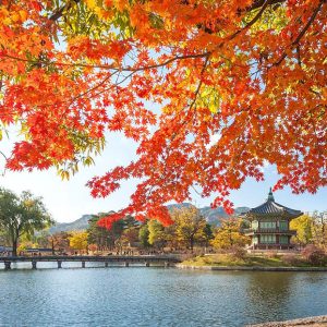 Tour Hàn Quốc: Seoul 5N4Đ - Voucher Giảm Giá 500.000Đ