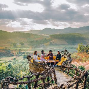 Tour Đà Lạt 3N3Đ - Đồi Chè Cầu Đất - Nông Trại Cún - Lang Farm