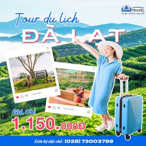 Tour Đà Lạt 2N2Đ - Dapa Hill - Trạm Kí Ức - Mê Linh Coffee - DL009