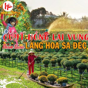 Tour Làng Hoa Sa Đéc - Vườn Quýt Hồng Lai Vung - Chợ Quê Tân Đông