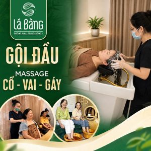 Dưỡng Sinh - Đông Y Lá Bàng - Gội Đầu + Massage Cổ Vai Gáy